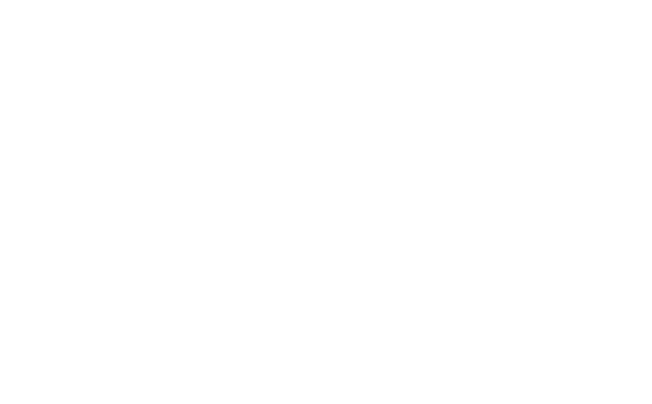 Pillow Oasis
